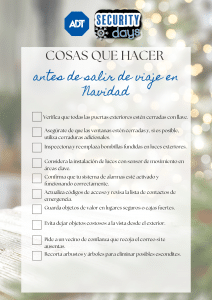 Consejos de seguridad antes de salir de viaje en Navidad